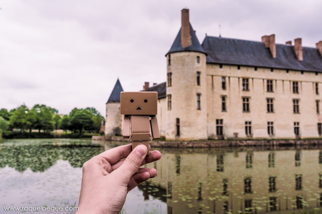 Francia | Castillos de Loira 9