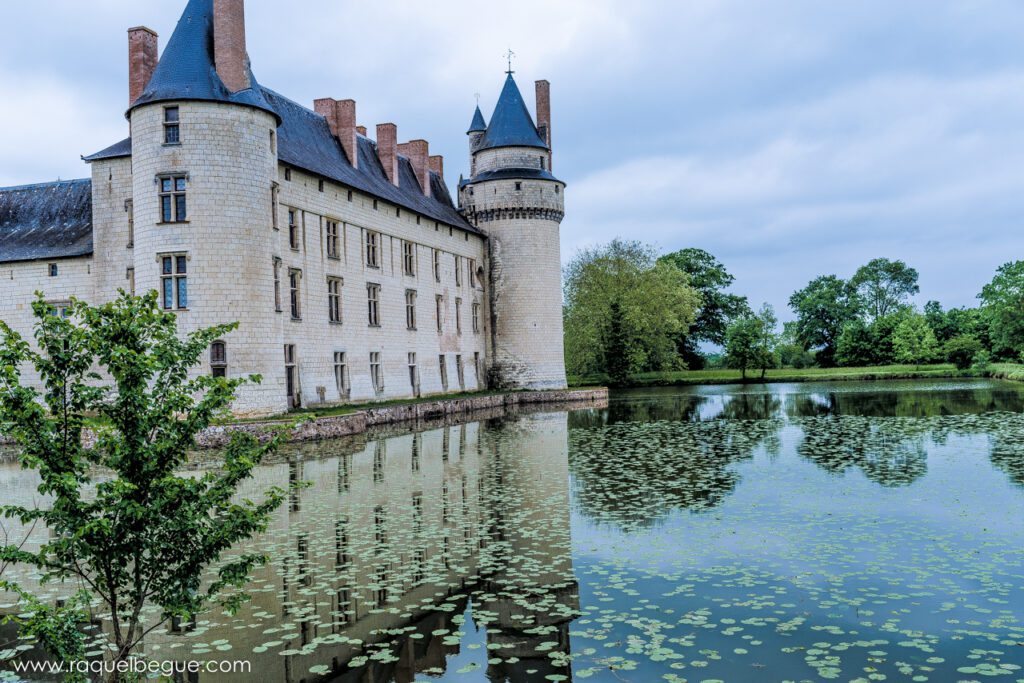 Francia | Castillos de Loira 8