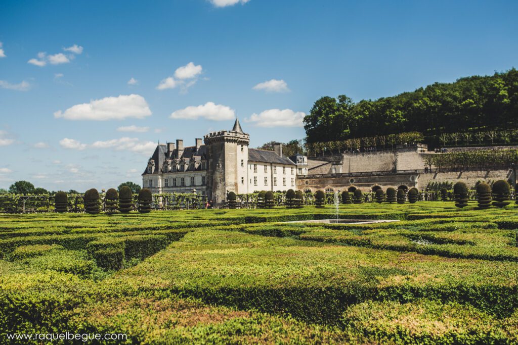 Francia | Castillos de Loira 5