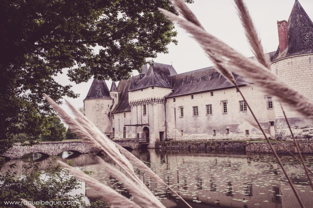 Francia | Castillos de Loira 7